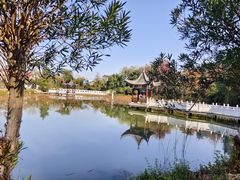 -青龙山国家森林公园