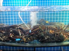 -望海潮海鲜店 特色家常菜(在海一方店)