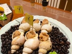 -月龍吟(朝龙汇店)
