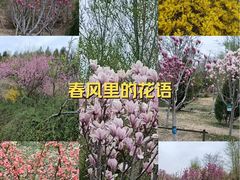 -南翠屏公园