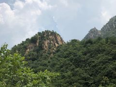 -大岭沟猕猴桃谷风景区