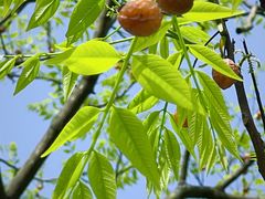 -浙江农林大学(东湖校区)