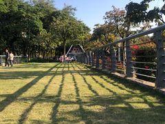 -文华公园(禅城区)