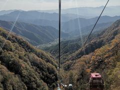 -王顺山国家森林公园