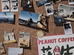 -花生咖啡 peanut coffee