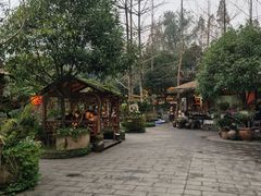 -青城甲(青城山店)