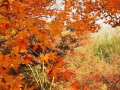 -钟山体育运动公园
