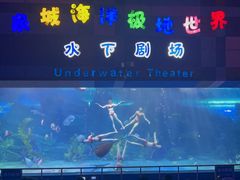 -泉城欧乐堡海洋极地世界