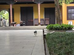 -西园戒幢律寺