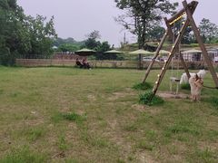 -趣多多宠物公园·宠物训犬学校·宠物寄养