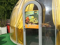 -羊门客在·烤盐池滩羊·川菜