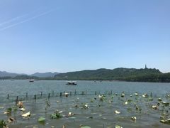 -湖畔居茶楼(湖滨店)