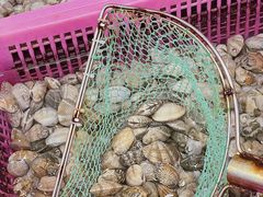 -众味海鲜大排档·活海鲜·潮汕味(南澳店)