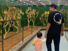 -荆州中山公园动物园