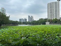 -荔湾湖公园