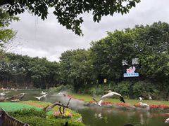 -广州长隆飞鸟乐园