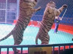 -西安秦岭野生动物园