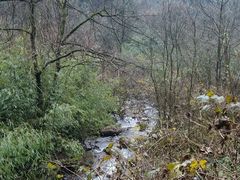 -西岭雪山大飞水景区