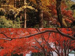 -中山公园