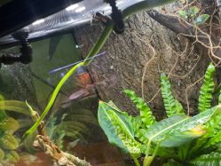 -酷嗒动物文化乐园(cutezoo西溪乐天城店)