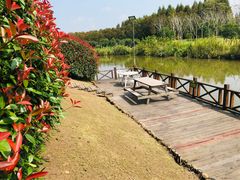 -明珠湖天鹅苑·农家菜馆