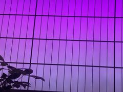 -Helens海伦司小酒馆(对外经贸大学店)