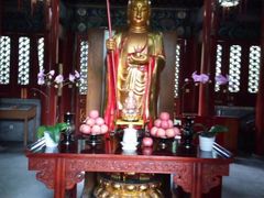 -古陶文明博物馆