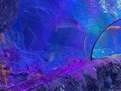 -沈阳海洋探索中心