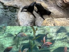 -珠海长隆海洋王国