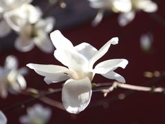 -西安市广仁寺