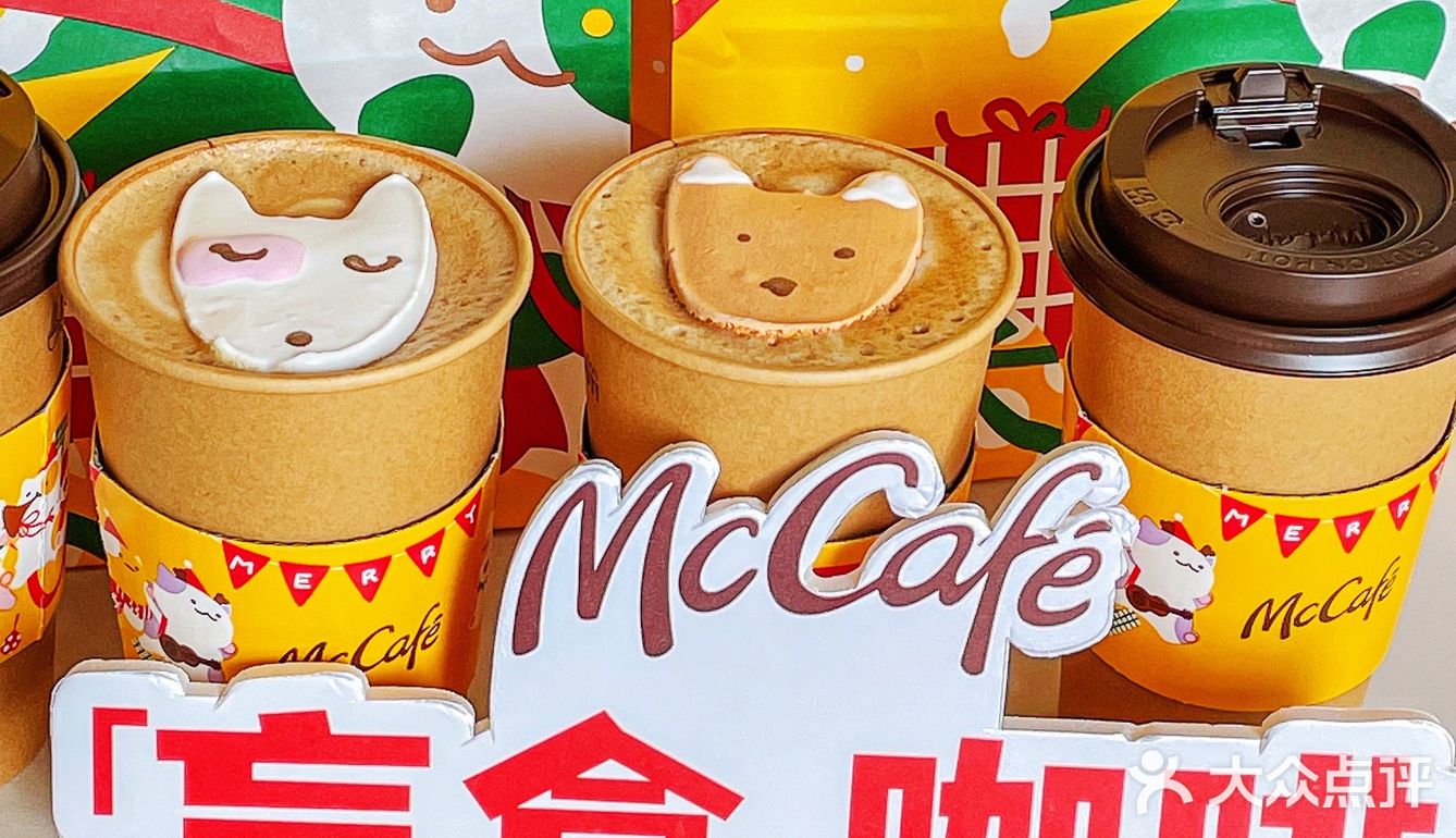 🧸成都的冬天｜萌宠蛋白霜竟然如此可爱 