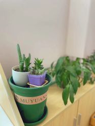 -美德因妇儿医院