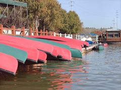 -上海海湾国家森林公园