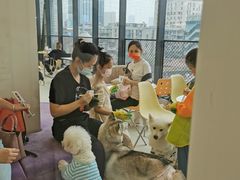 -怪兽屋·羊驼·猫咖·狗咖(俊华广场店)