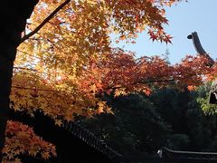 -何园