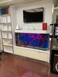 -圣瑞医疗上海圣恩儿科门诊部