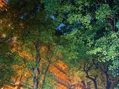 -大佛寺高级素食自助餐厅