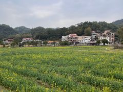 -红山村