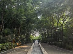 -苏州河梦清园环保主题公园