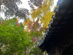 -秋霞圃