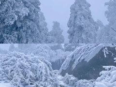 -西岭雪山大飞水景区