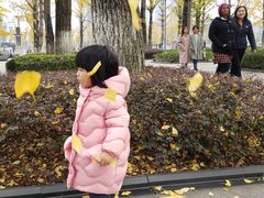 -百林公园-两江幸福广场