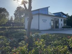 -春花秋色城市公园