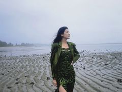 -临高角