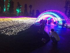 -秀丽东方