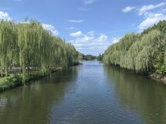 -溱湖国家湿地公园