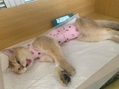 -美迦爱-牙专科·兔科·骨科诊疗中心(北苑店)