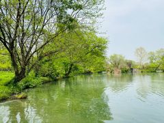 -西溪国家湿地公园