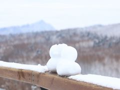 -山王坪喀斯特国家生态公园