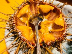 海胆-福匠日本料理(人民路店)